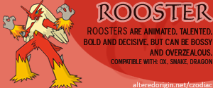 aocz-rooster.png