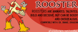 Year of the Rooster